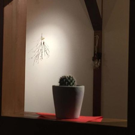 Kinosaki Knot Female Only Dormitory - Vacation Stay 25710V 豊岡市 エクステリア 写真